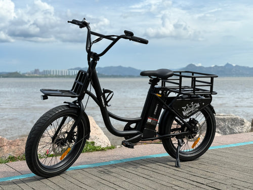 E-bike